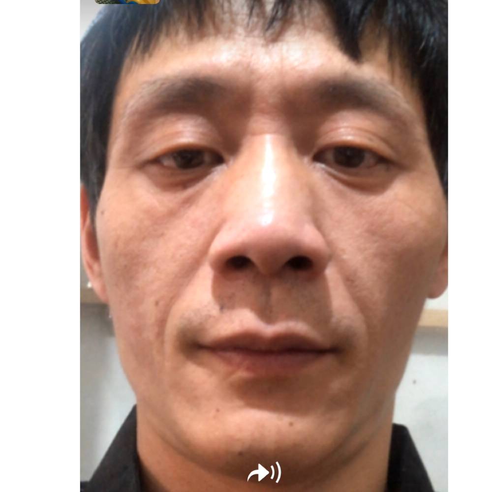 金鱼演变透彻的照片