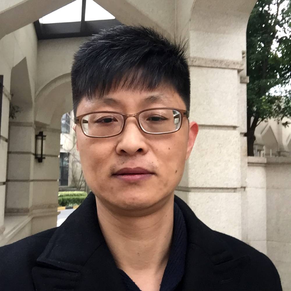 无心柳的照片