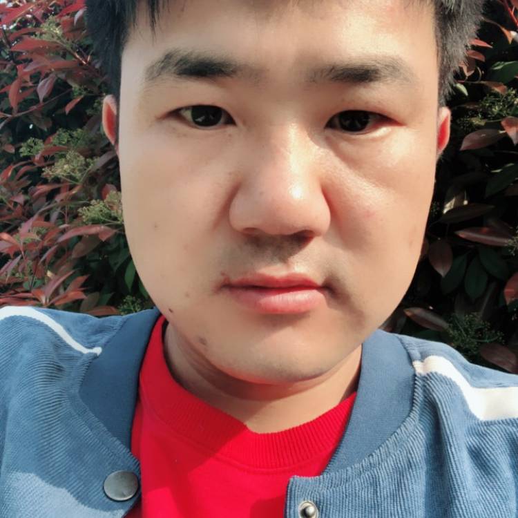 热情放弃蚂蚁的照片