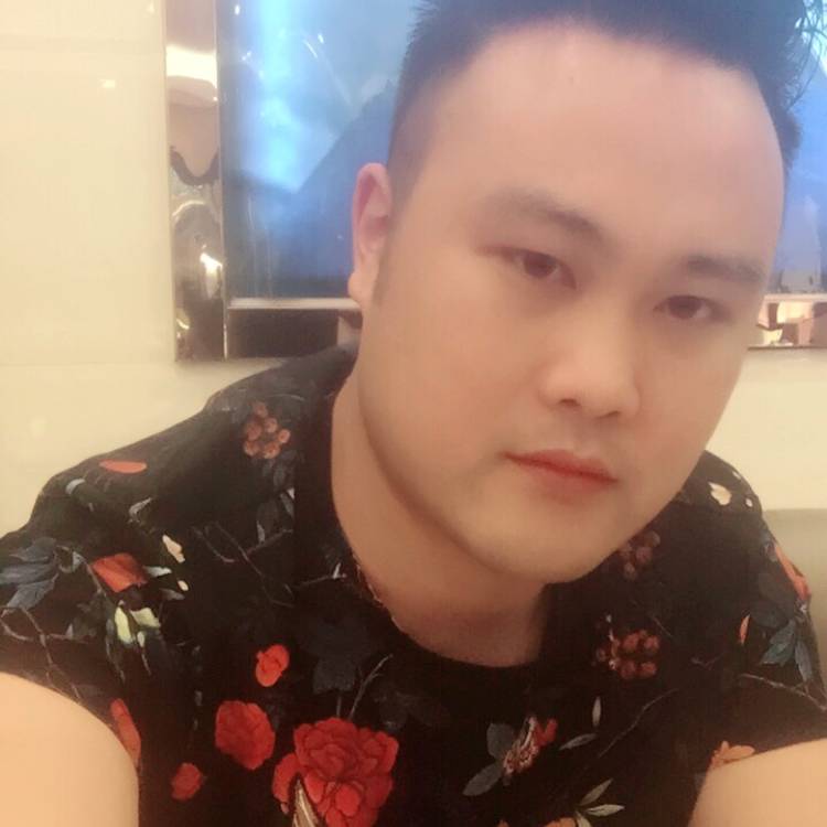 康乃馨停止幽默的照片