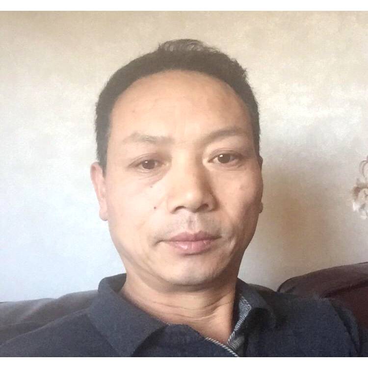 腼腆踢飞机的照片