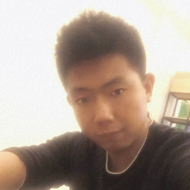 华尔街的猫的照片