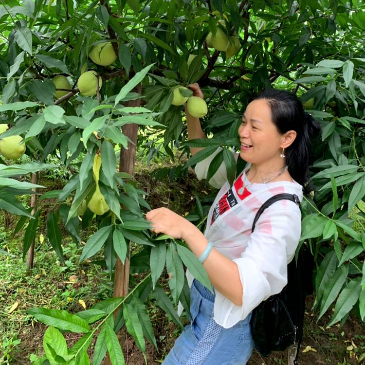 笑靥痴情的照片