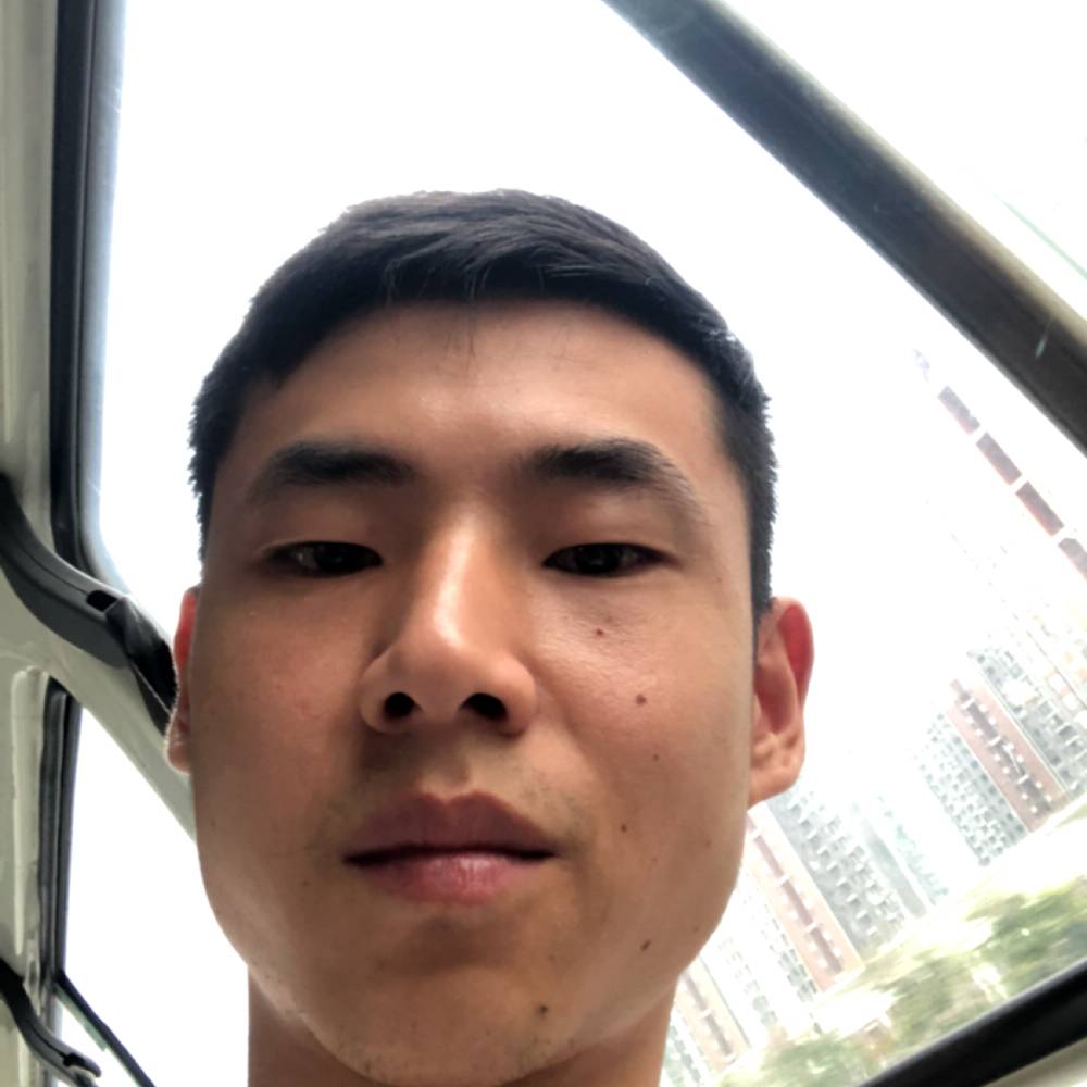 熊猫的照片