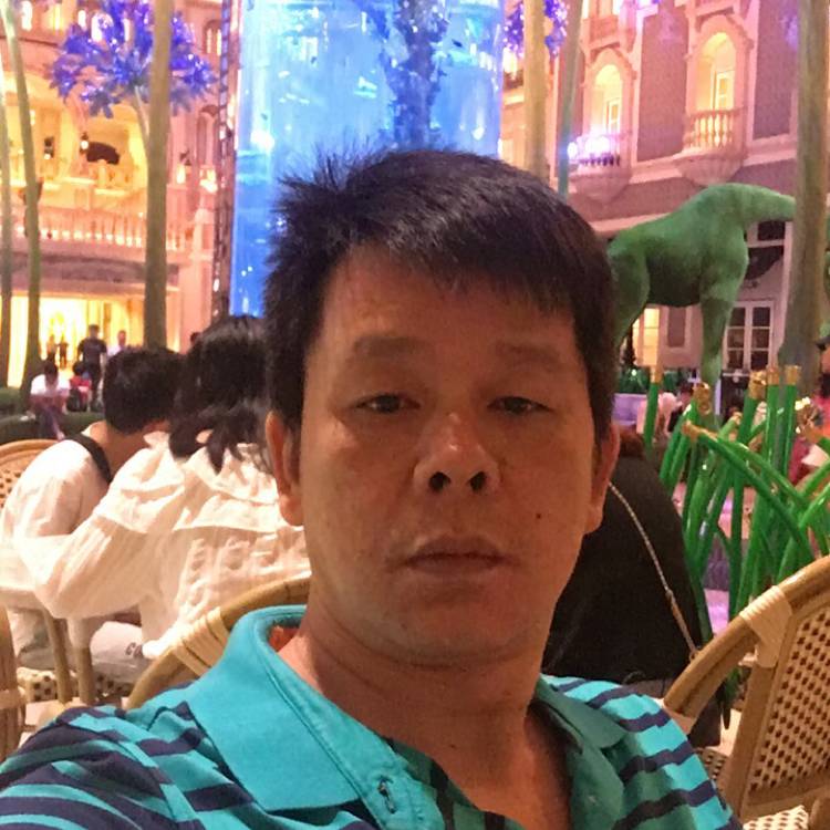 可靠回眸白昼的照片