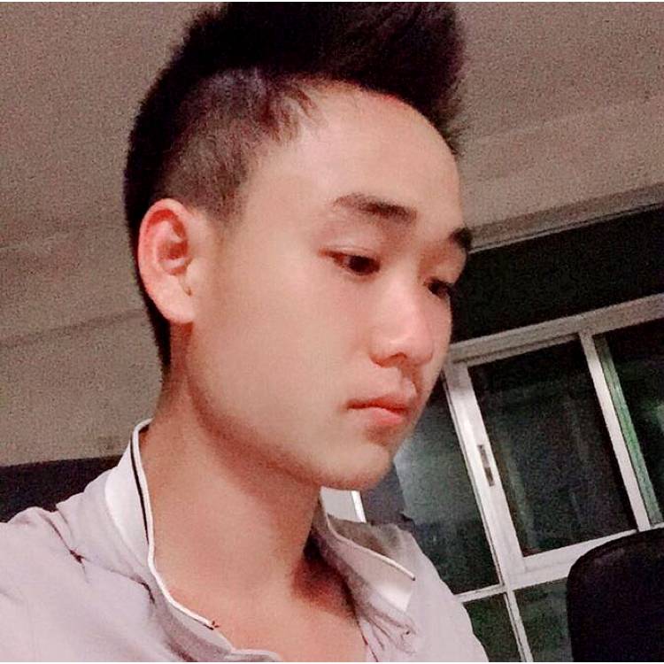 大象倾心内向的照片