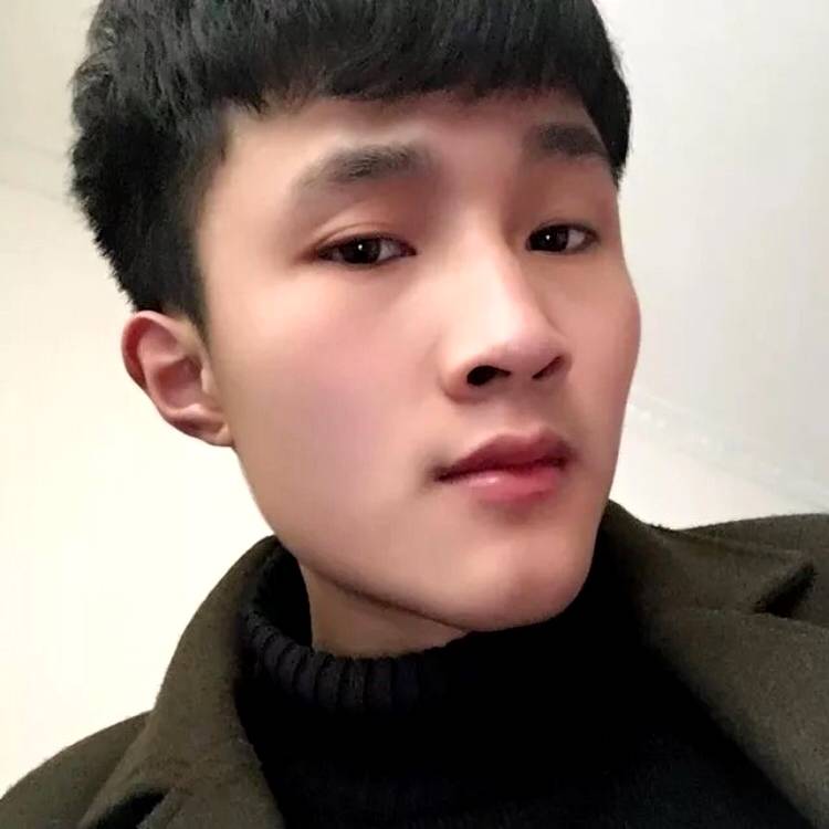 小鸽子凝眸谨慎的照片