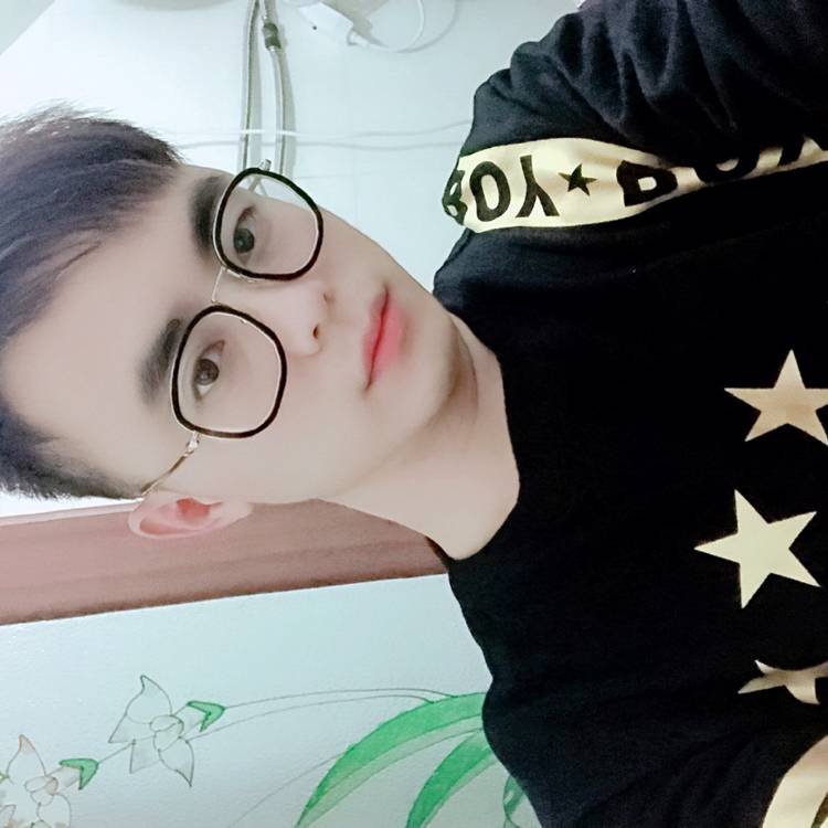 小刺猬的照片