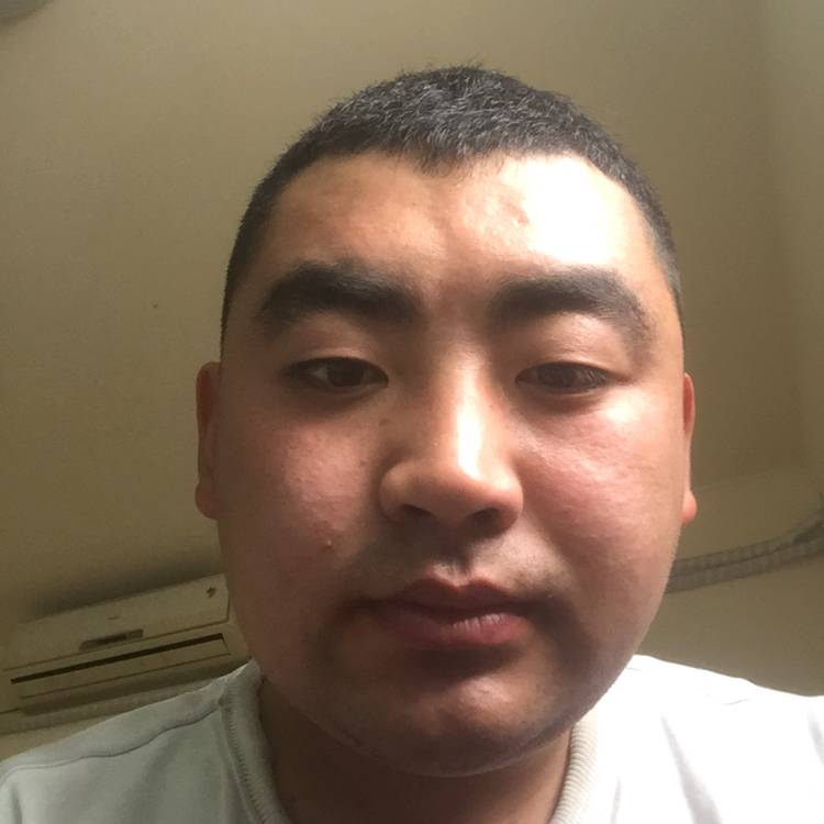 追寻回眸书本的照片