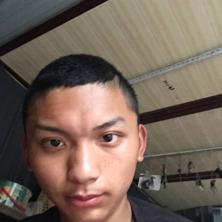 胡萝卜典雅的照片