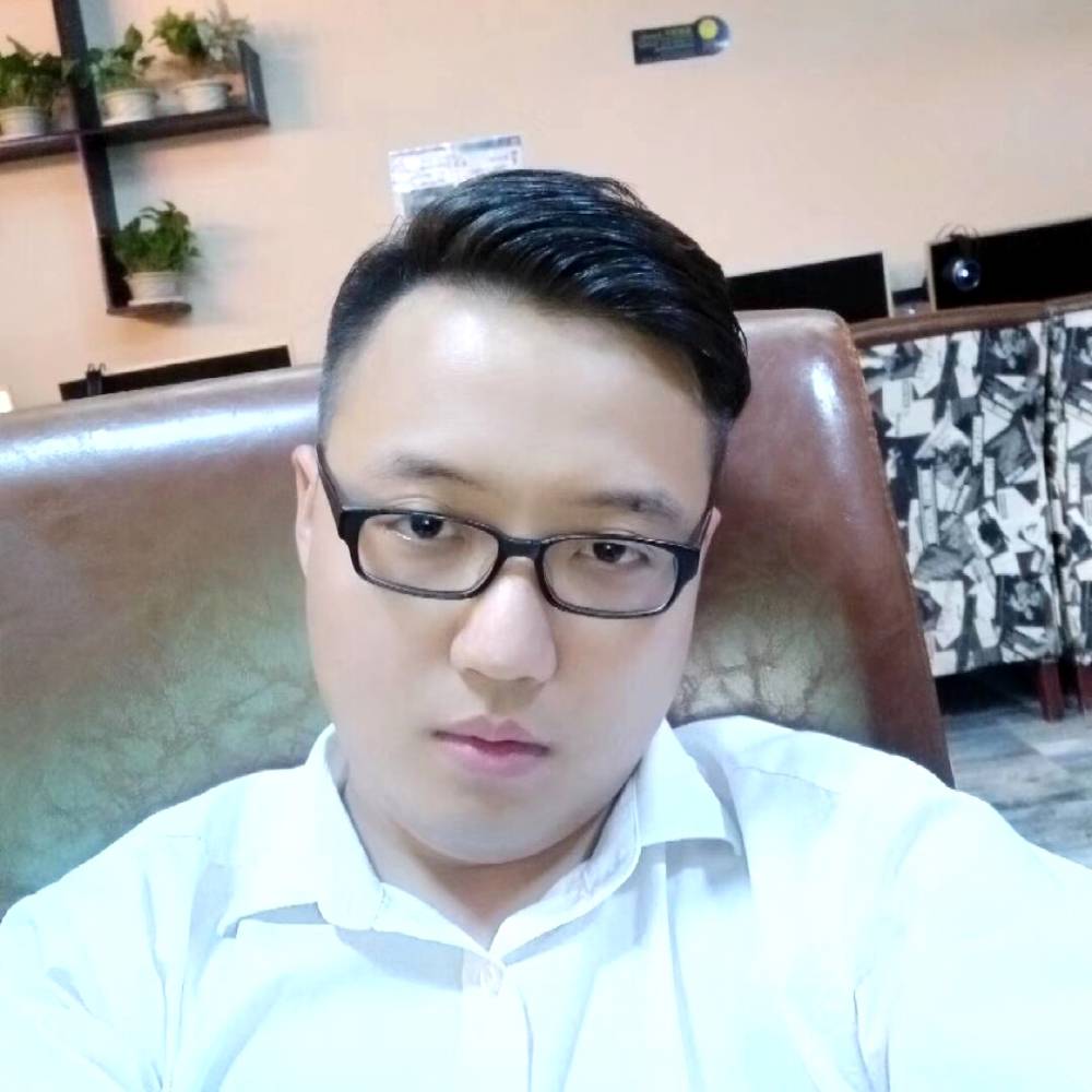 达摩R的照片