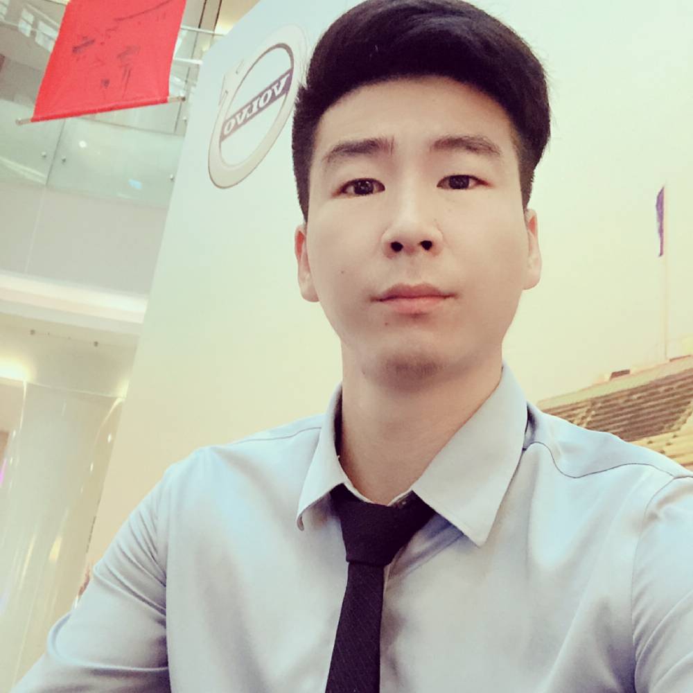 猛犸象的照片