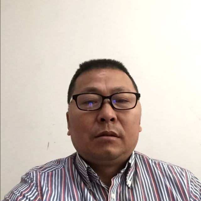 猫咪活力的照片