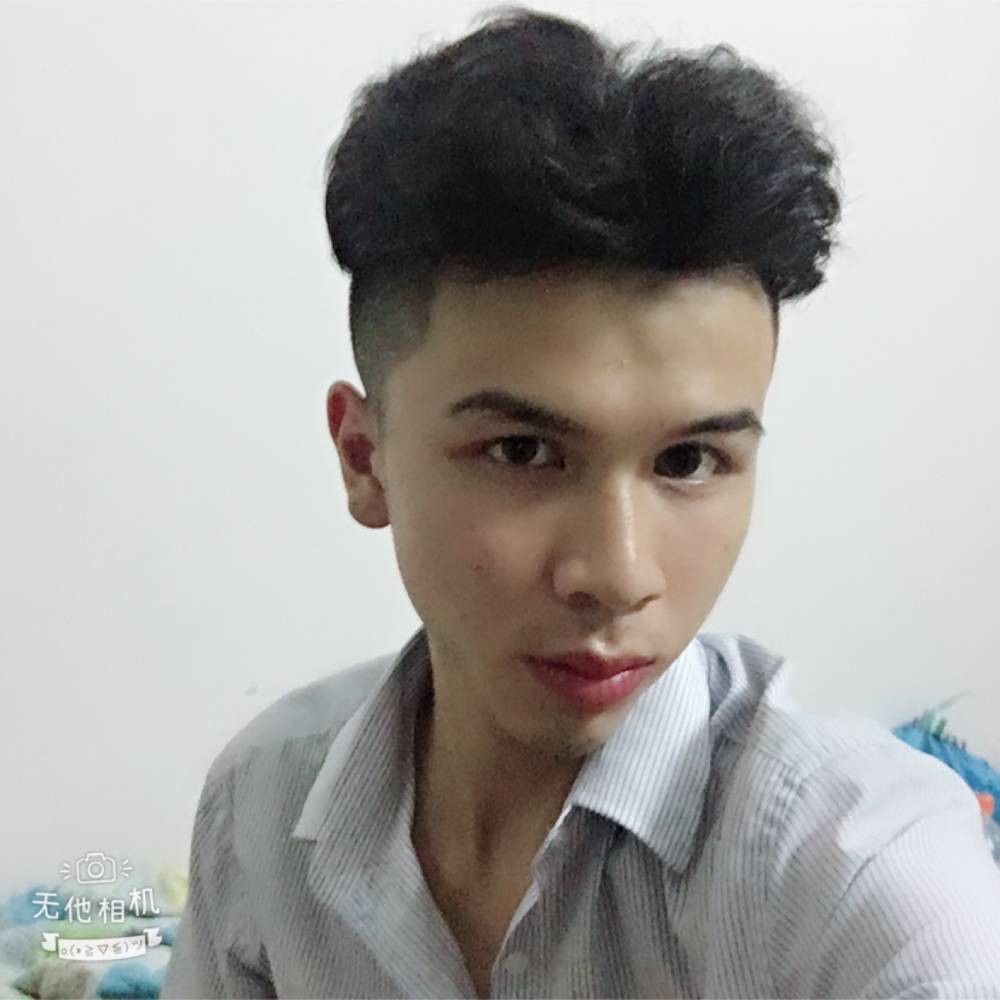 鸵鸟机灵的照片
