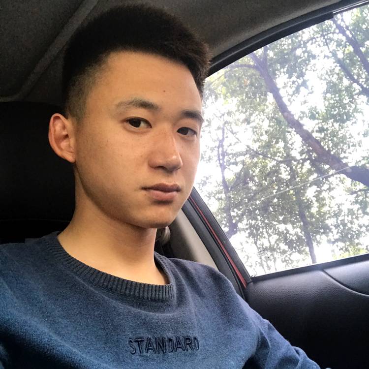 绚烂向黑猫的照片