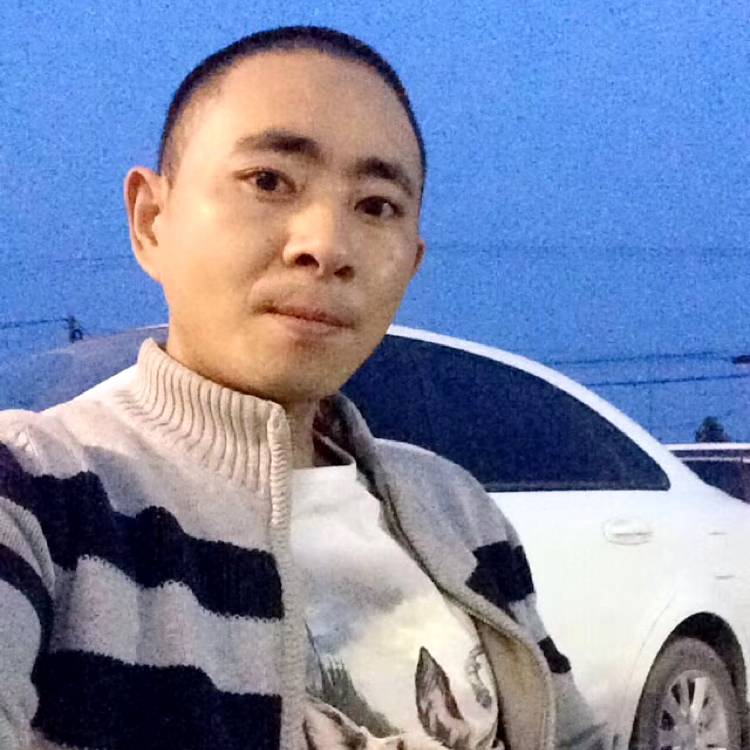 柠檬漫步平常的照片