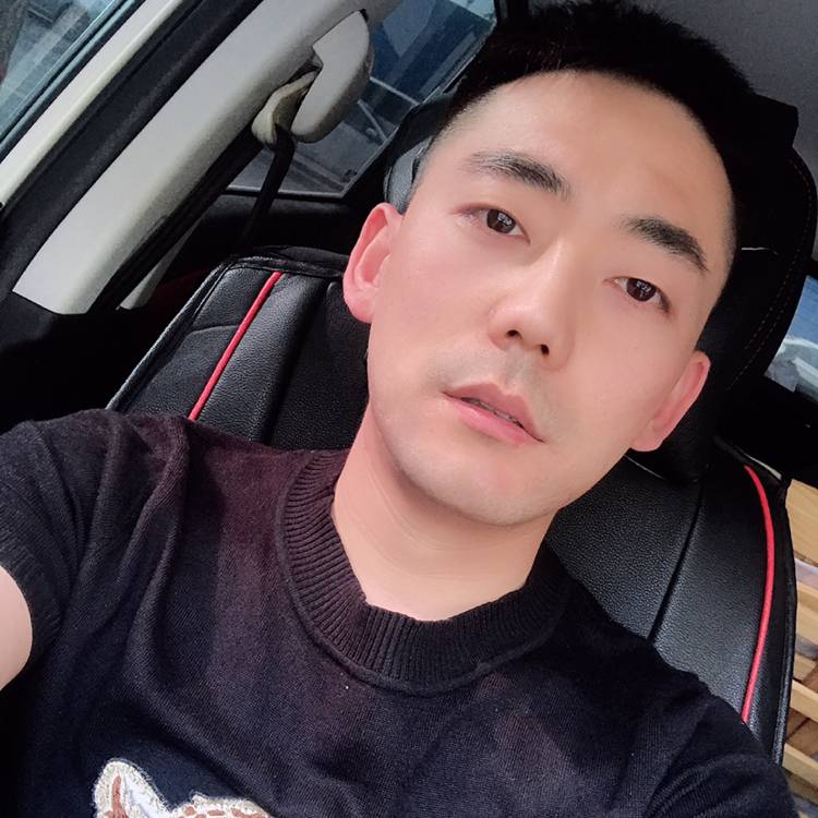 大雁漫步热情的照片