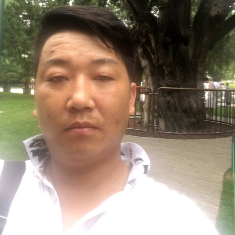 猫咪向典雅的照片