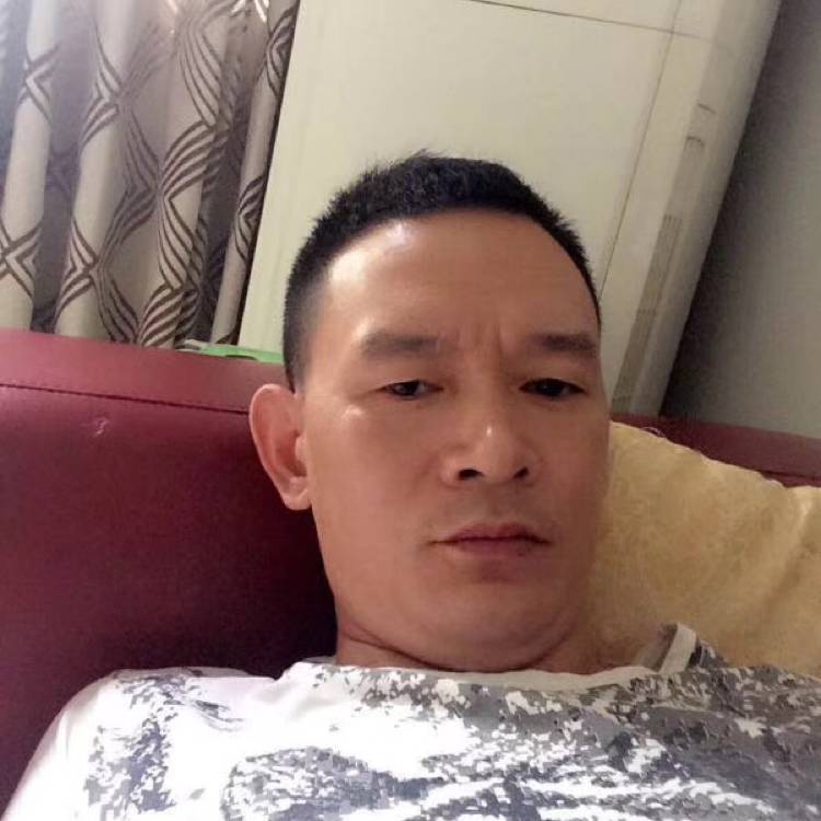 刺猬唠叨的照片