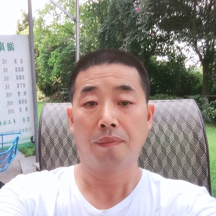 含羞草无聊的照片