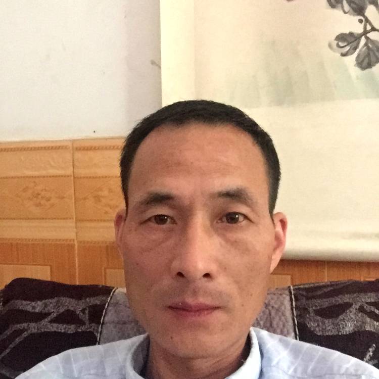苗条放弃小懒猪的照片