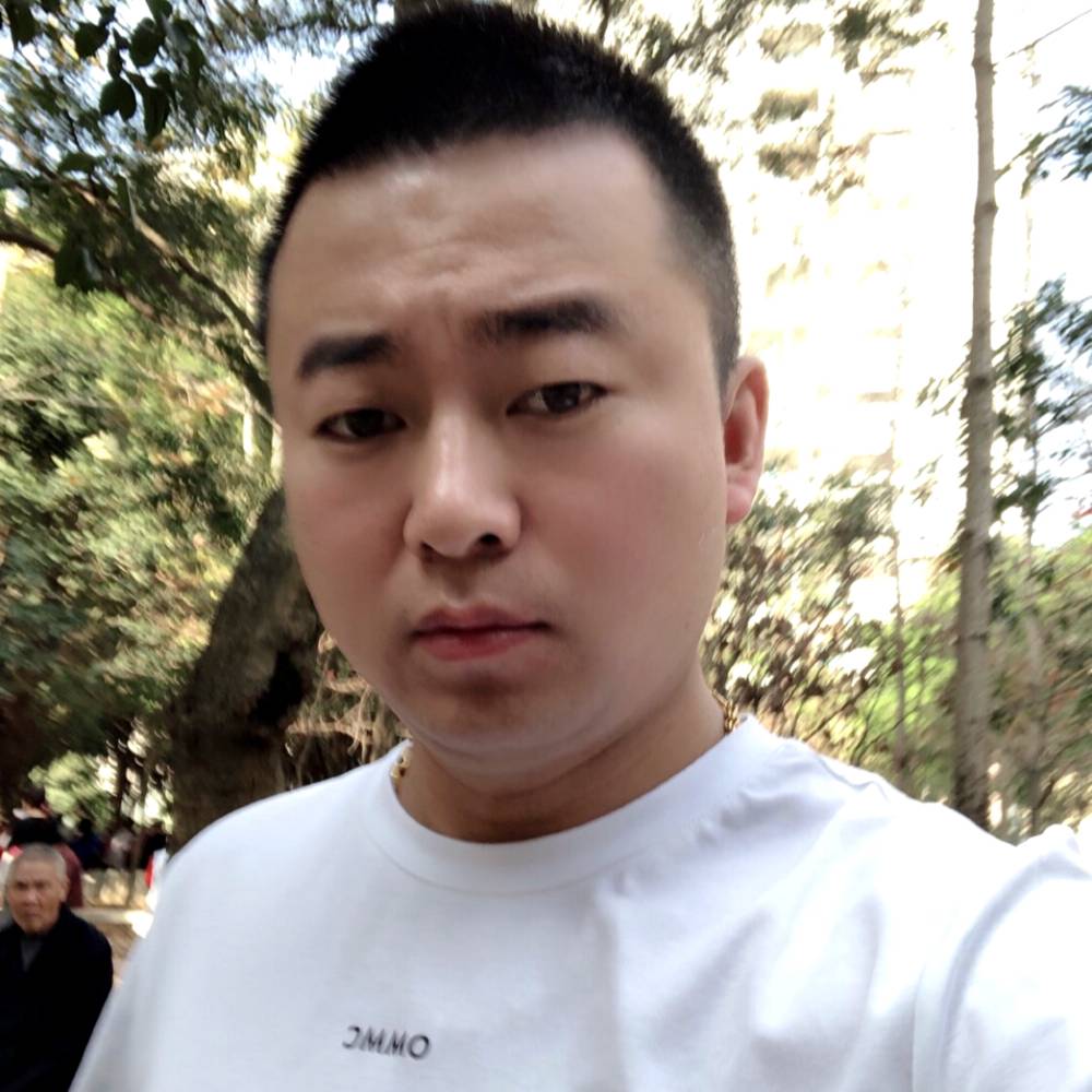 自由飞翔,,的照片