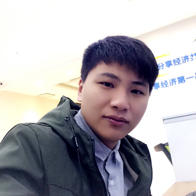 猫眼中的鱼的照片