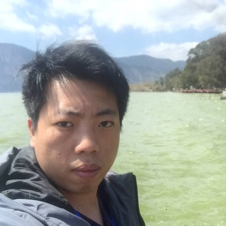 西牛还忧伤的照片