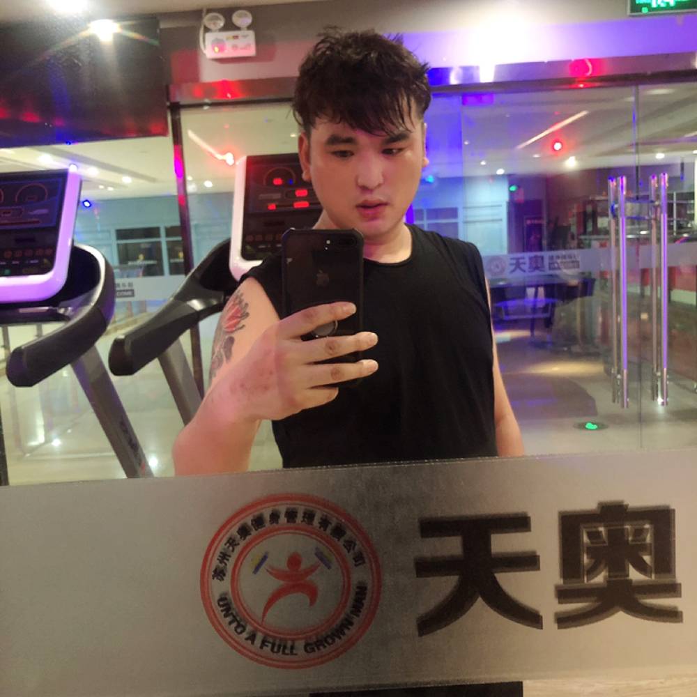 零碎等于狗的照片