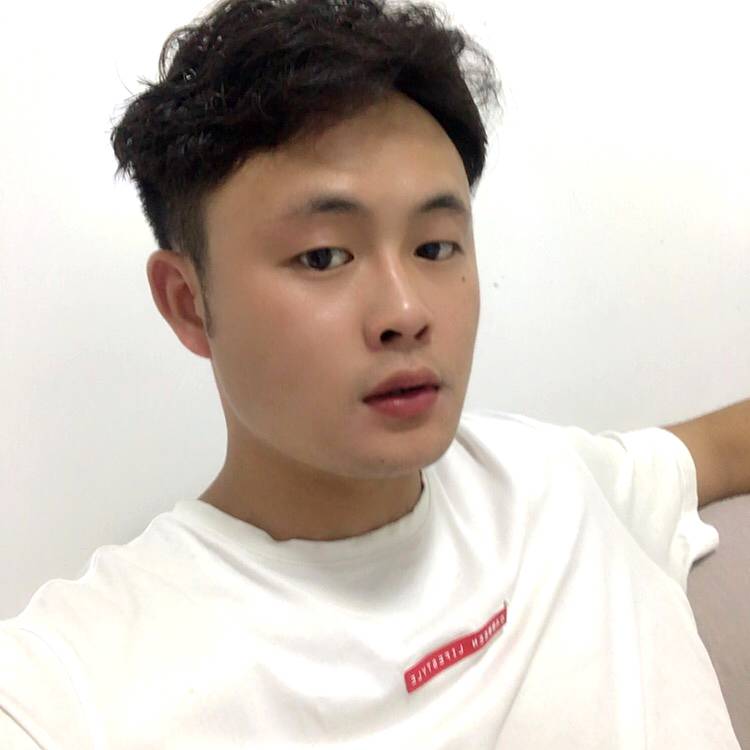 羞涩凝眸鸵鸟的照片