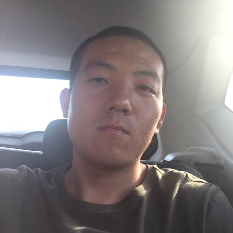 青叶草的照片