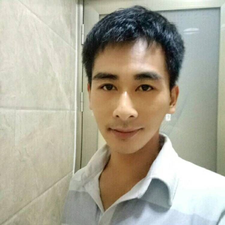 小鸭子有活力的照片