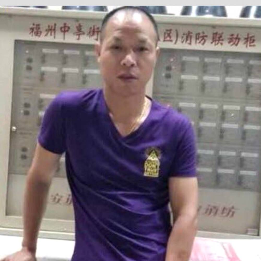 活力与矜柔的照片