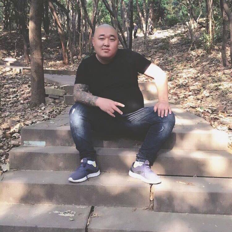 向日葵苹果的照片
