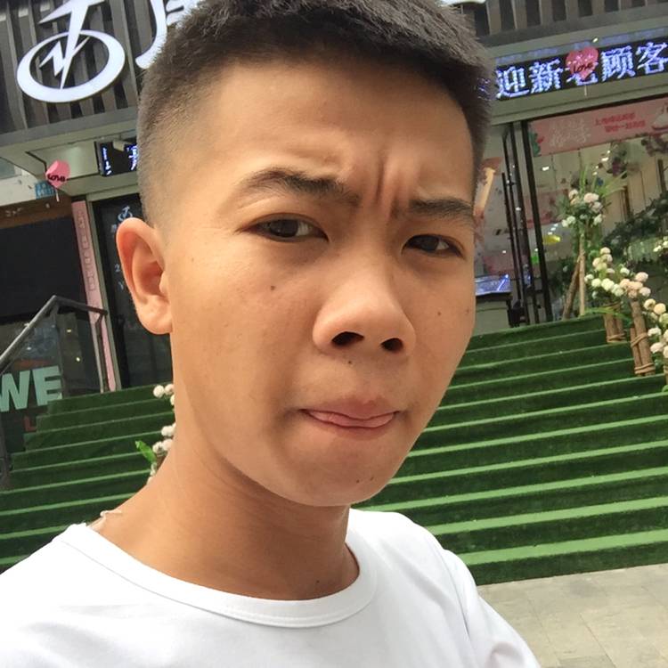 龙猫与现代的照片