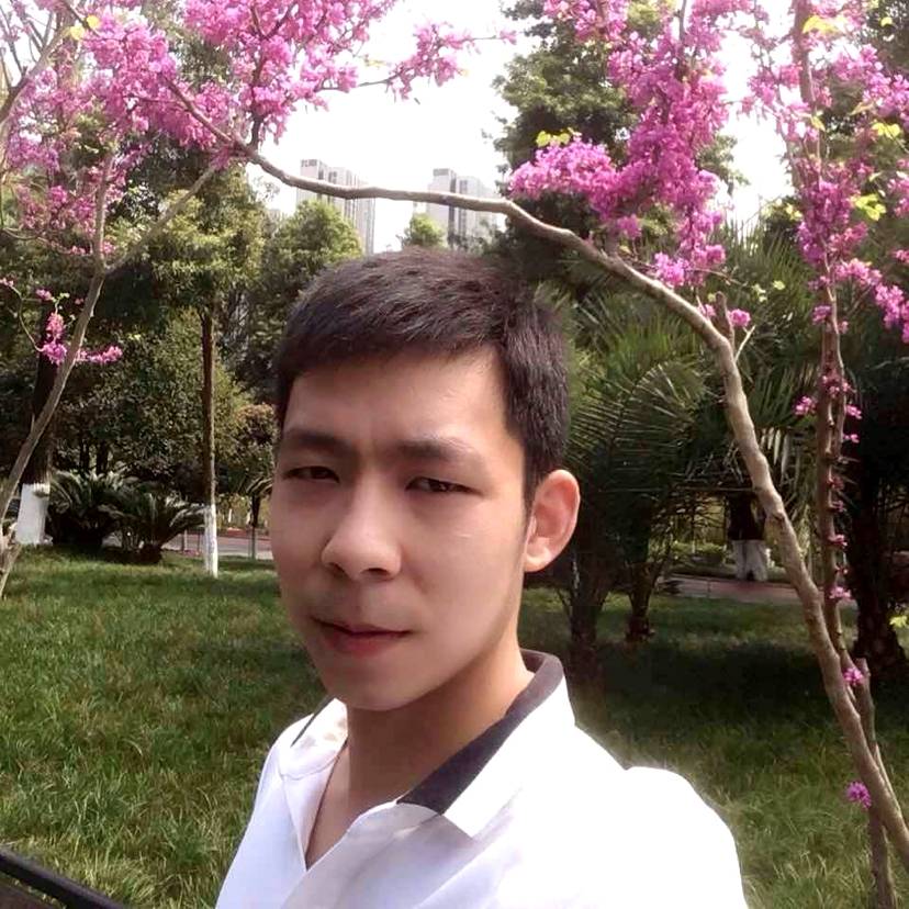 老单身狗的照片
