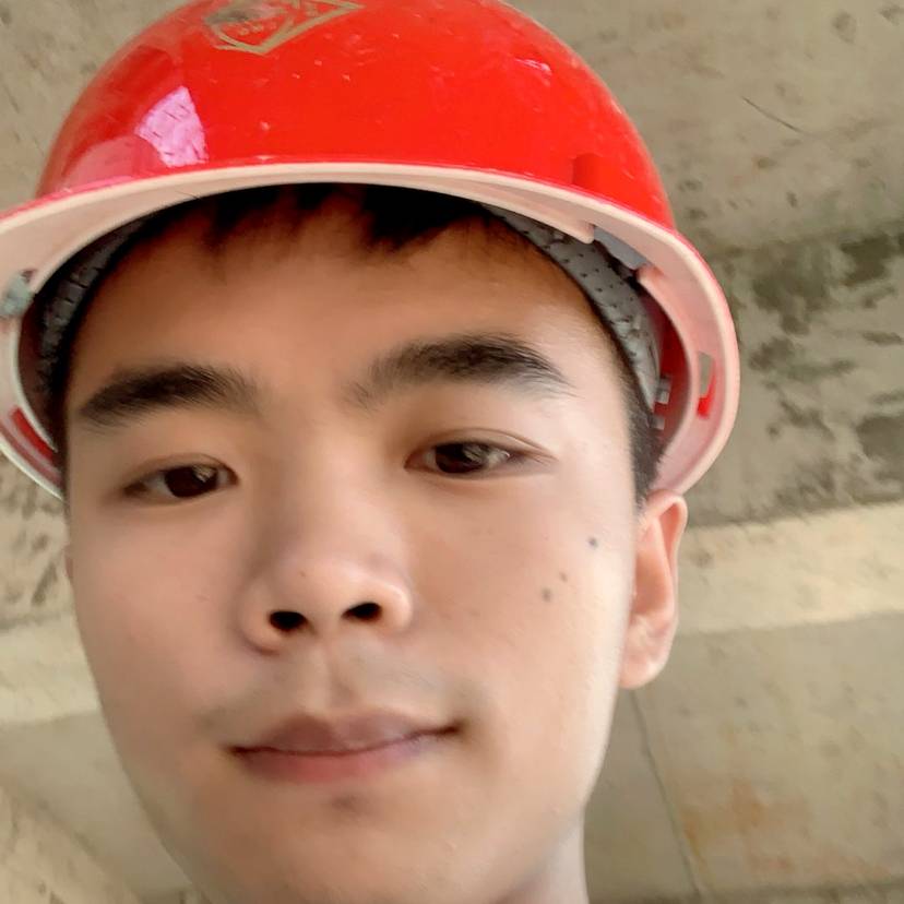 大雁浅吻幽默的照片