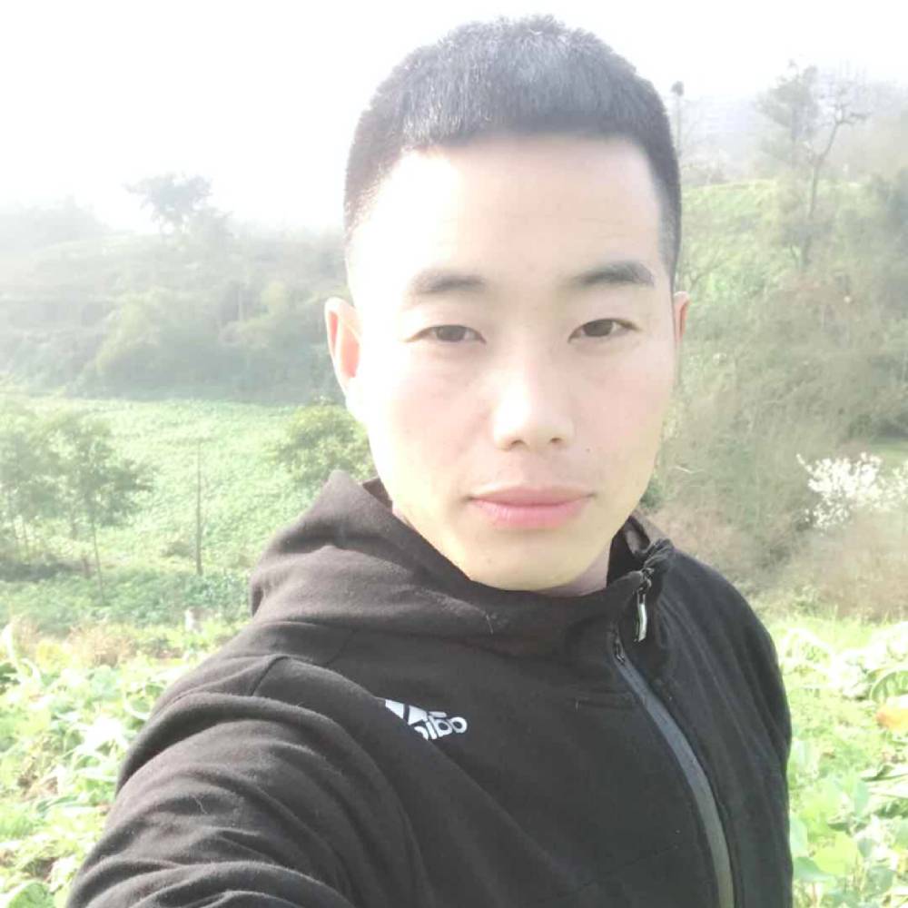 的照片