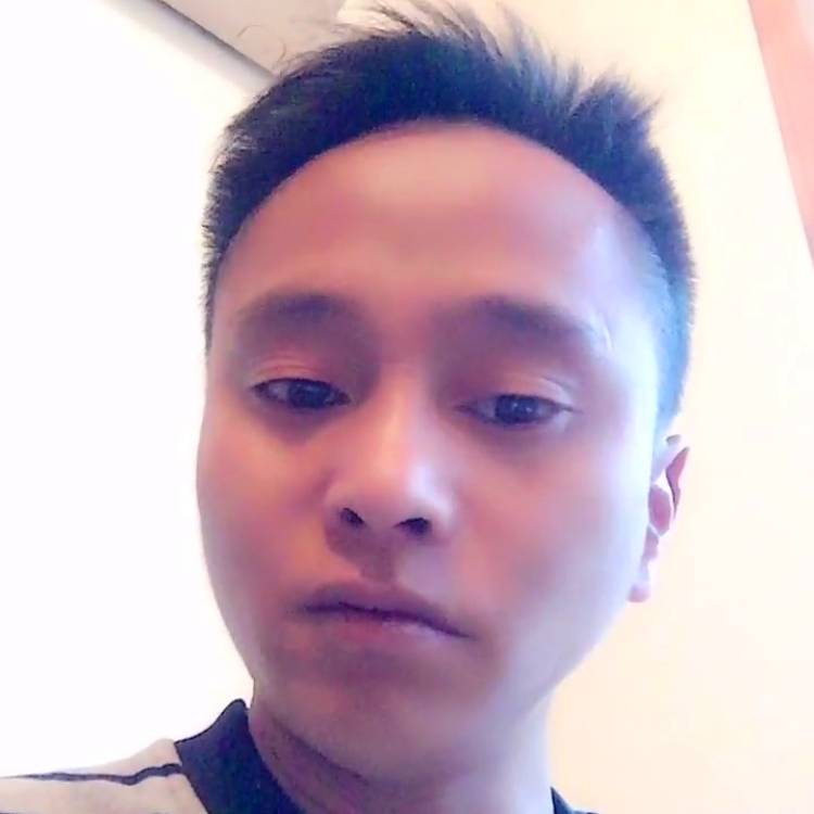 领域的照片