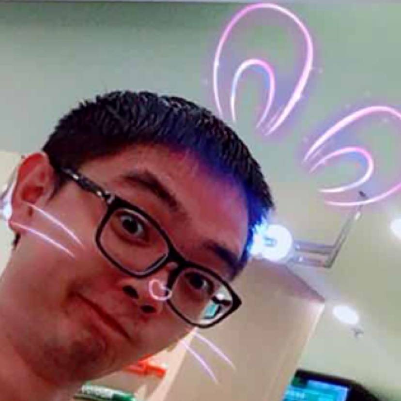 英勇狗的照片