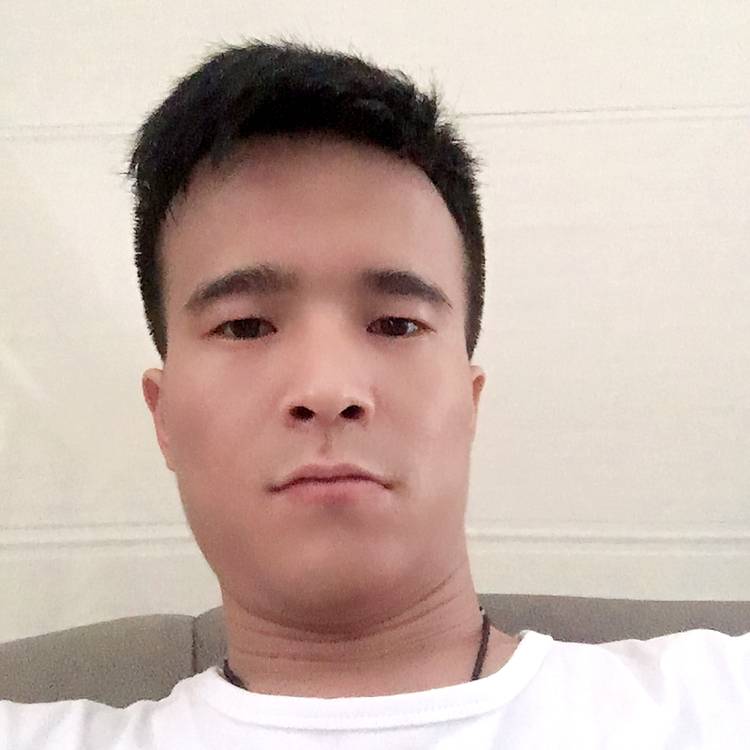 北极熊，北极熊的照片