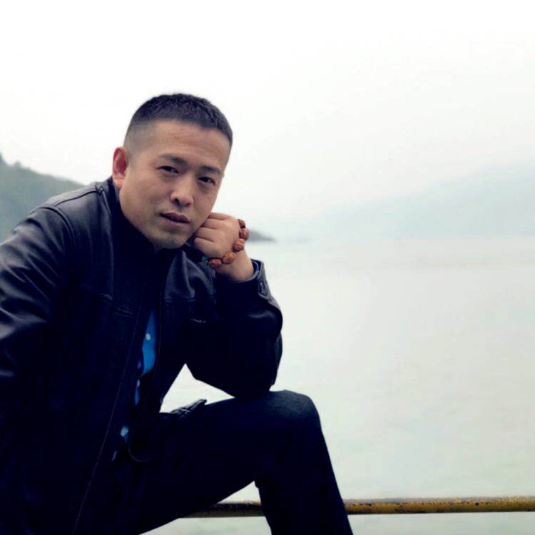 向日葵深拥旧时光的照片