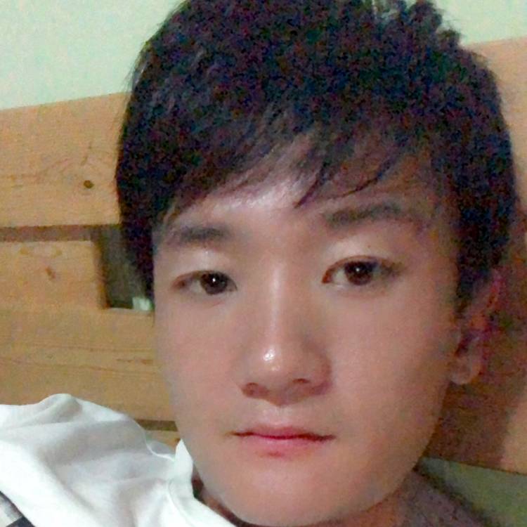 汉堡拉长的照片