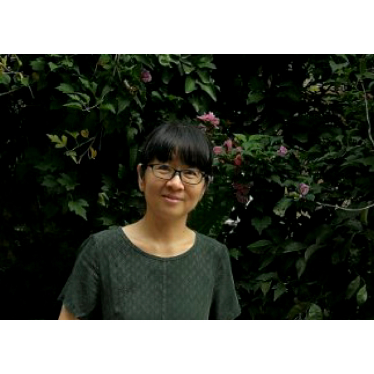辛勤小猴子的照片