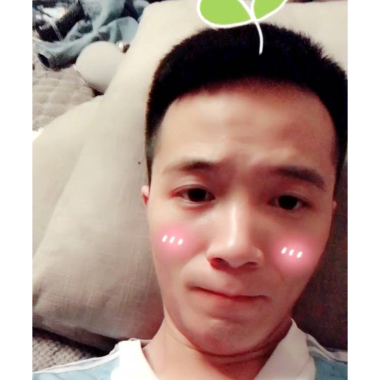 狗浅吻不安的照片
