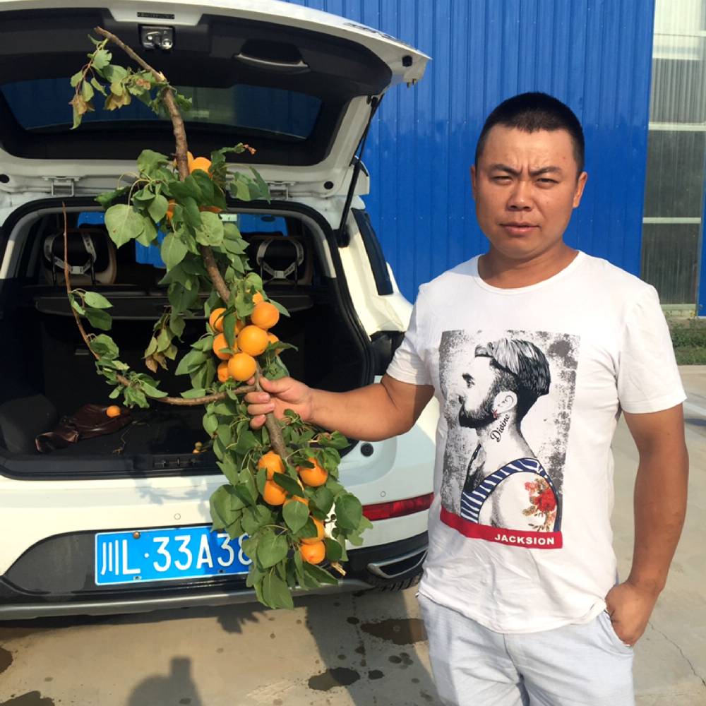 江木头的照片