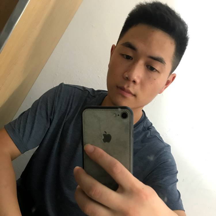 至命阳光的照片