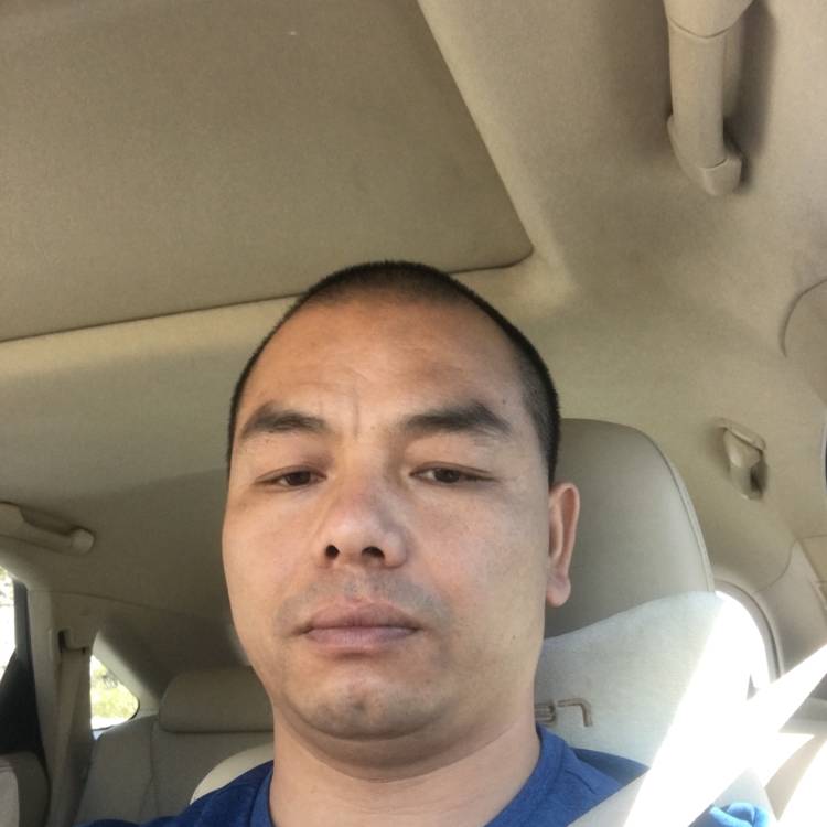 车,的照片
