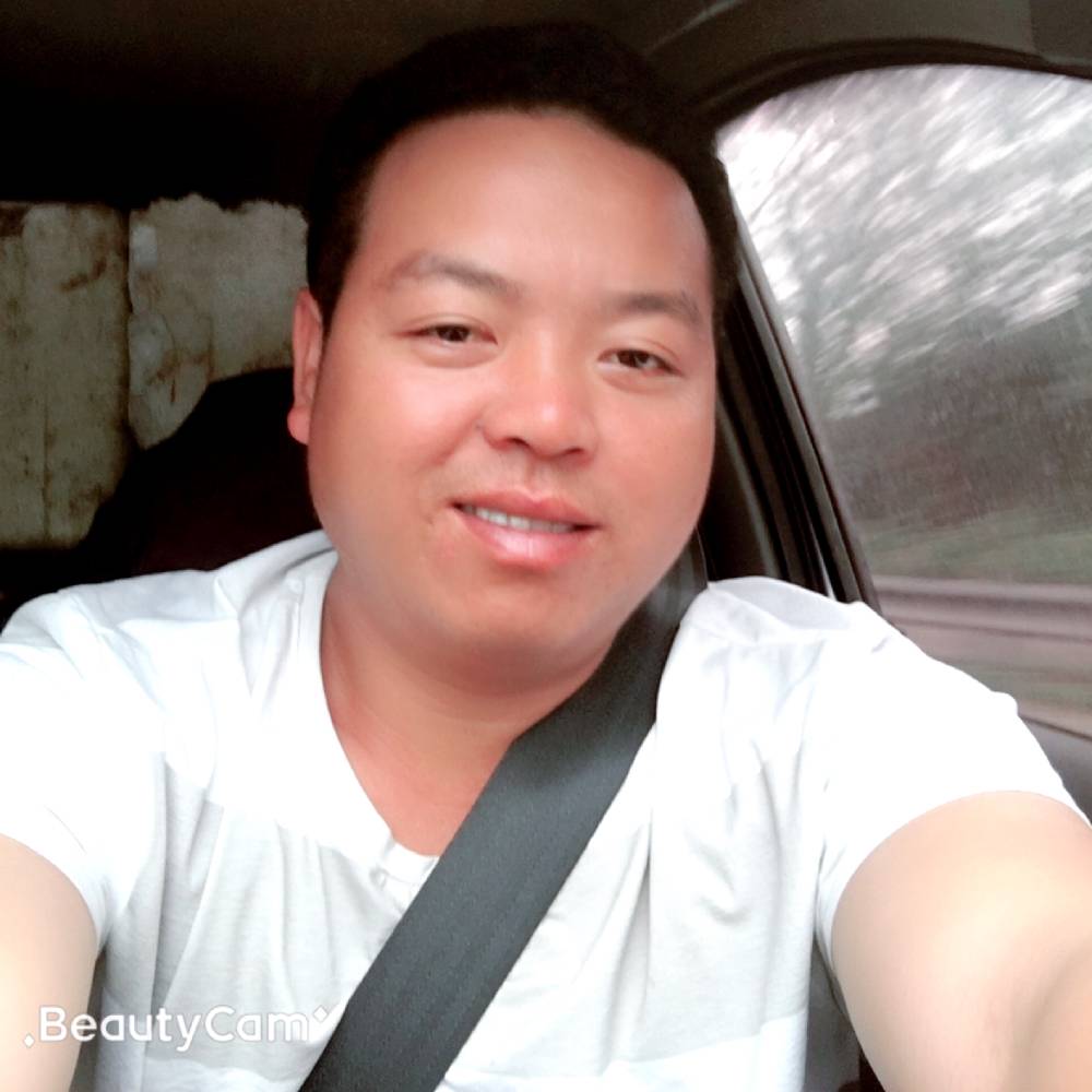 清爽与大雁的照片