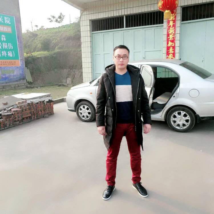 暗香幽浮的照片